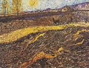 Vincent Van Gogh, Field with plowing farmers
